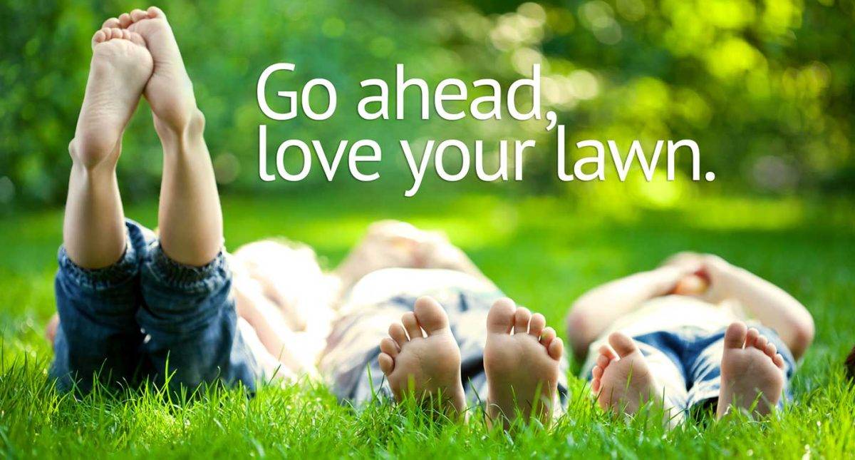 Lawn Treatment Services Lawn Clean up near me