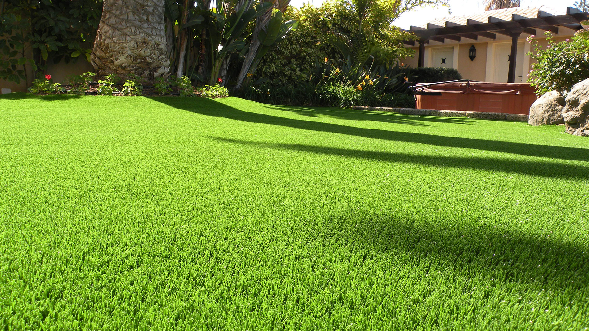 what type of lawn grass do I have