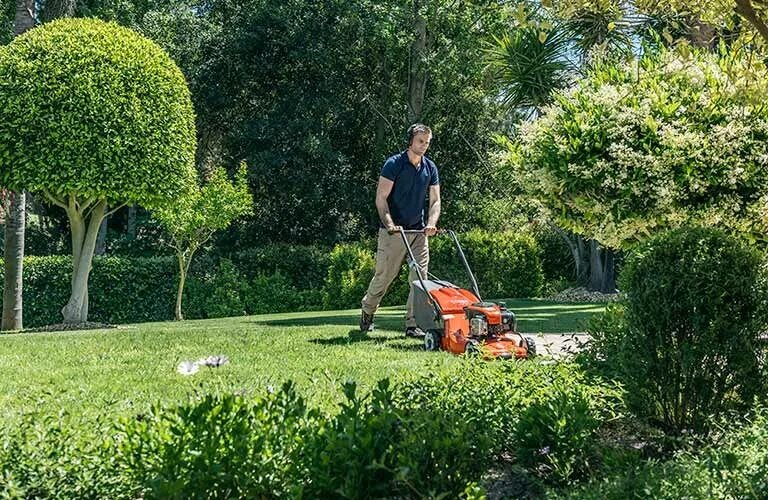 Lawn Care Maintenance