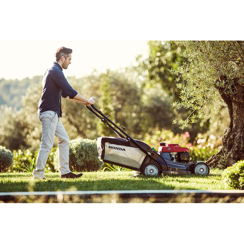 seasonal lawn care