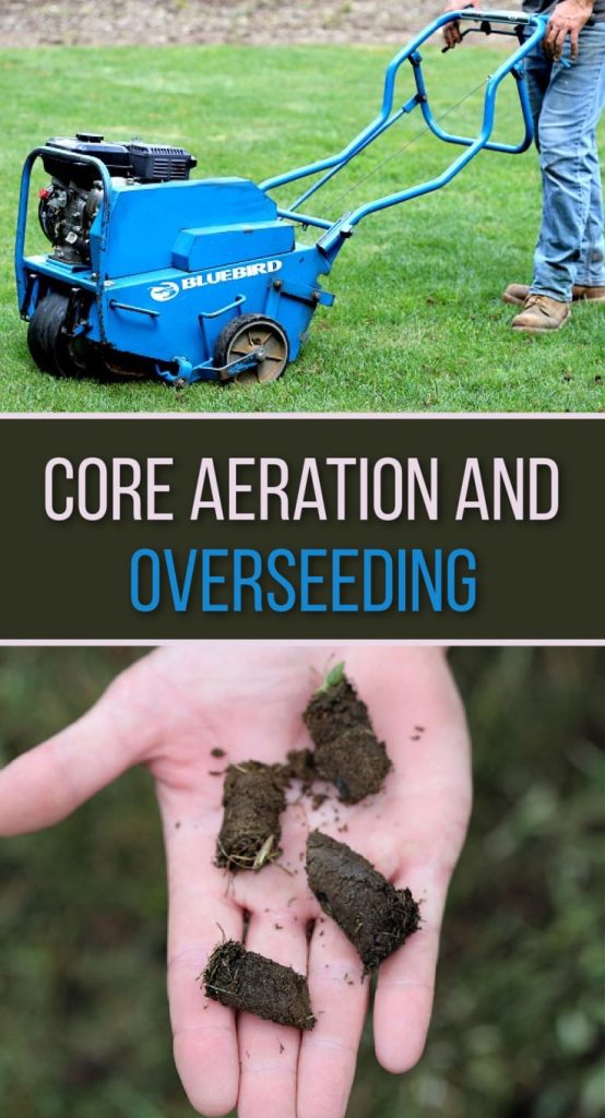 Core aeration and overseeding