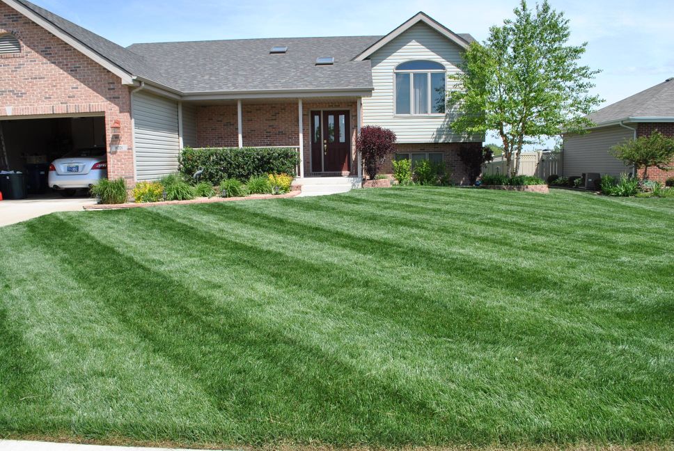 Lawn Care Near Me in Griffith