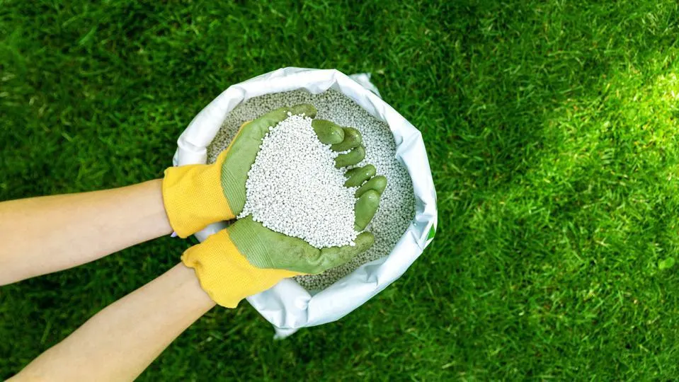 lawn-fertilizer